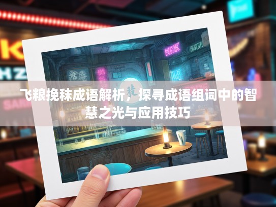 飞粮挽秣成语解析，探寻成语组词中的智慧之光与应用技巧