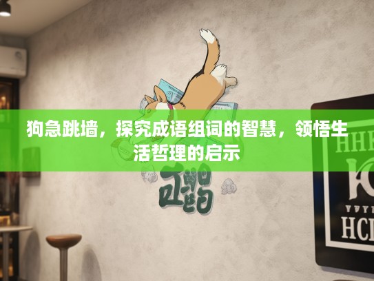 狗急跳墙，探究成语组词的智慧，领悟生活哲理的启示