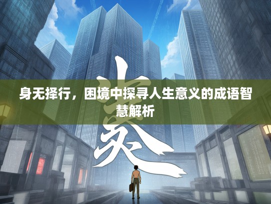 身无择行，困境中探寻人生意义的成语智慧解析