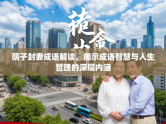 荫子封妻成语解读，揭示成语智慧与人生哲理的深层内涵