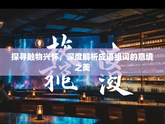 探寻触物兴怀，深度解析成语组词的意境之美