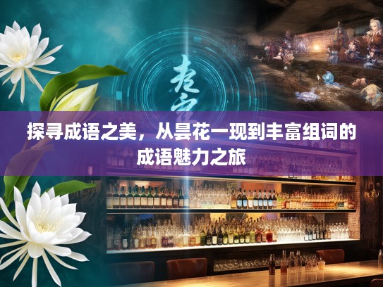 探寻成语之美，从昙花一现到丰富组词的成语魅力之旅