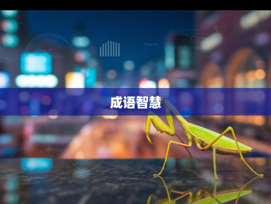 巧借螳螂黄雀智慧,探析成语组词中的生存哲学奥秘 巧借螳螂黄雀智慧,探析成语组词中的生存哲学奥秘