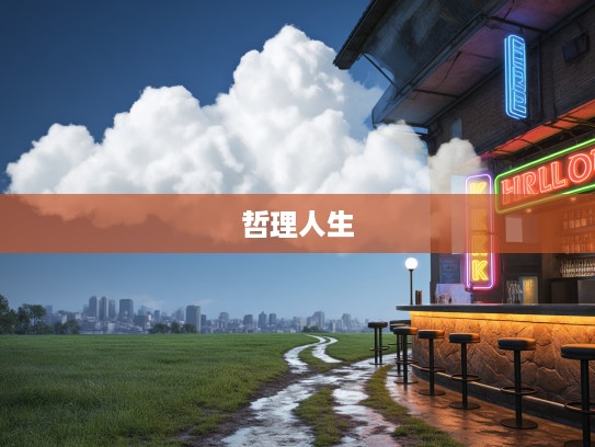 云泥异路成语组词解析，探寻哲理人生中的云泥之别