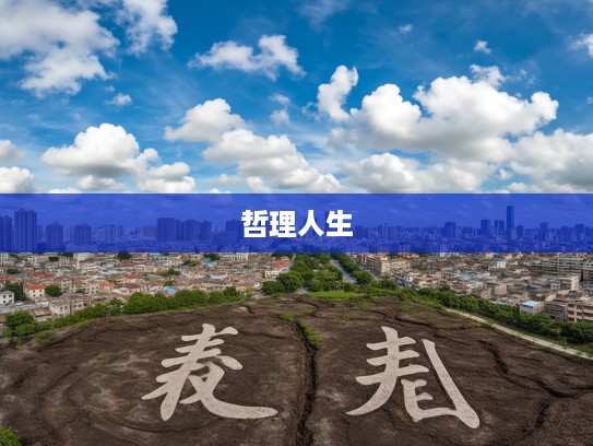 云泥异路成语组词解析，探寻哲理人生中的云泥之别