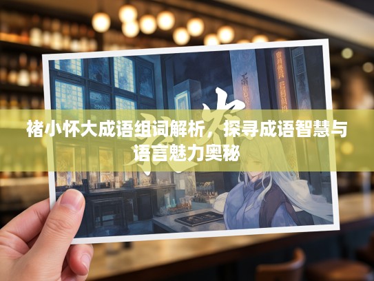 褚小怀大成语组词解析，探寻成语智慧与语言魅力奥秘