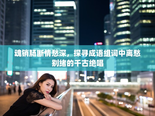 魂销肠断情愁深，探寻成语组词中离愁别绪的千古绝唱