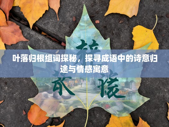 叶落归根组词探秘,探寻成语中的诗意归途与情感寓意 叶落归根组词探秘,探寻成语中的诗意归途与情感寓意