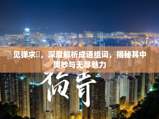 见弹求鸮，深度解析成语组词，揭秘其中奥妙与无尽魅力