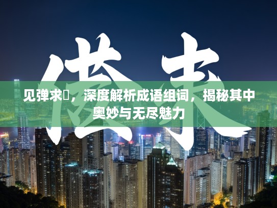 见弹求鸮，深度解析成语组词，揭秘其中奥妙与无尽魅力