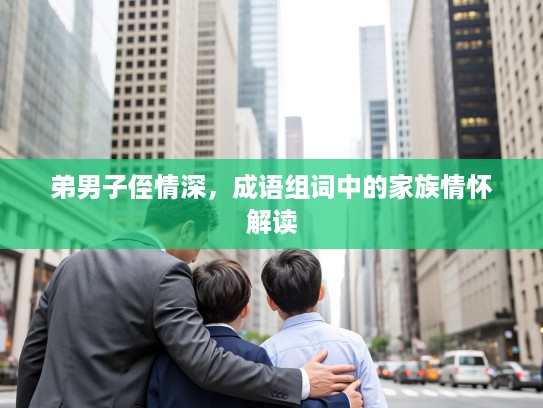 弟男子侄情深，成语组词中的家族情怀解读
