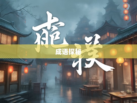 烟雨红尘中的成语传奇，三妻四妾成语组词探秘