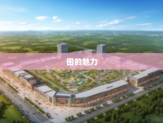 龙德在田成语组词大揭秘，深度解析成语智慧之田的魅力与用法