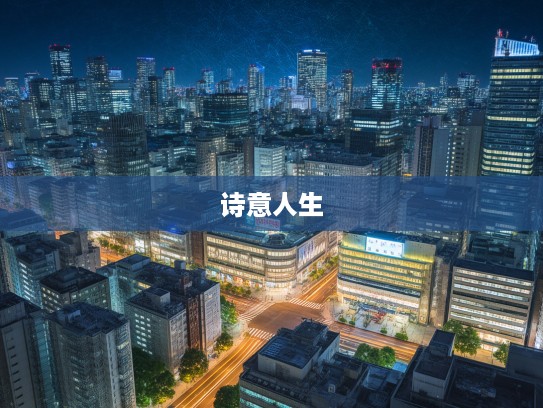 参横斗转夜未央，成语之美共赏——诗意人生中的成语组词探析