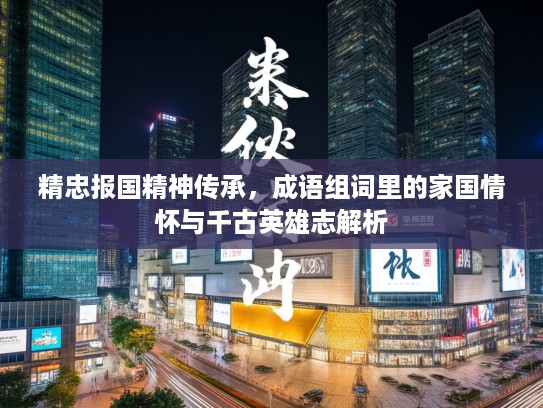 精忠报国精神传承，成语组词里的家国情怀与千古英雄志解析