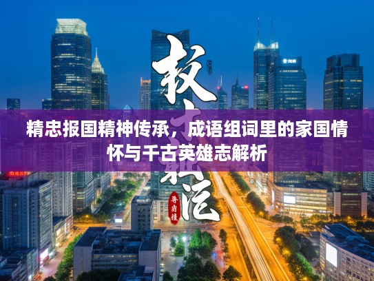 精忠报国精神传承，成语组词里的家国情怀与千古英雄志解析