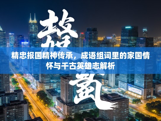 精忠报国精神传承，成语组词里的家国情怀与千古英雄志解析
