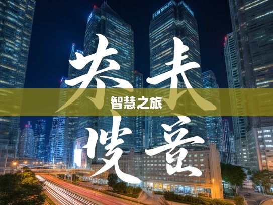 昼度夜思成语组词探秘，探寻成语智慧之旅中的经典组合