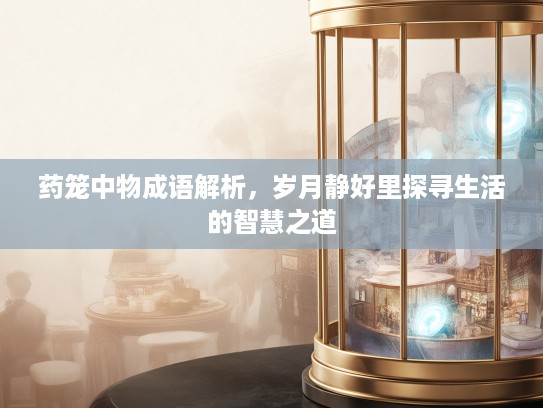 药笼中物成语解析，岁月静好里探寻生活的智慧之道
