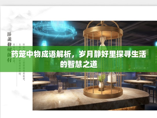 药笼中物成语解析，岁月静好里探寻生活的智慧之道