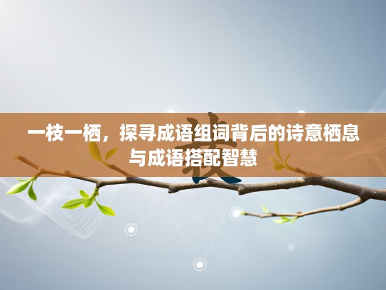 一枝一栖，探寻成语组词背后的诗意栖息与成语搭配智慧