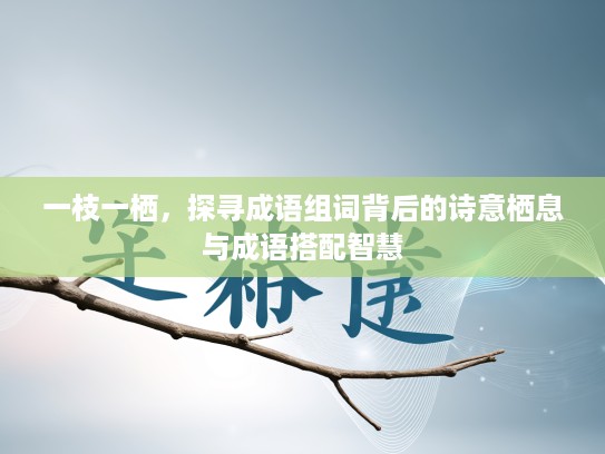 一枝一栖，探寻成语组词背后的诗意栖息与成语搭配智慧