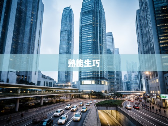 成语组词中的智慧之光，熟能生巧的成语用法解析与应用技巧