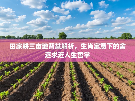 田家耕三亩地智慧解析，生肖寓意下的舍远求近人生哲学