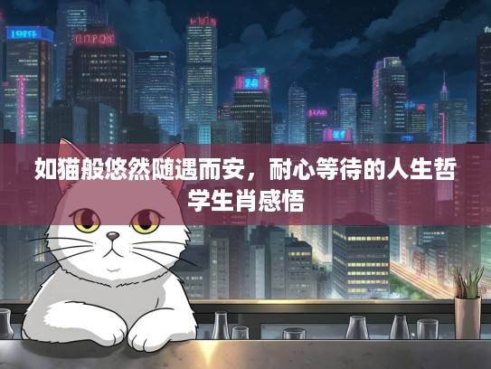 如猫般悠然随遇而安，耐心等待的人生哲学生肖感悟