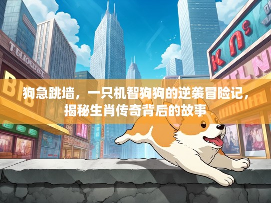 狗急跳墙，一只机智狗狗的逆袭冒险记，揭秘生肖传奇背后的故事