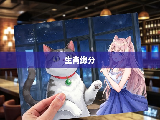 奇缘邂逅，喜出望外与猫咪的生肖缘分奇遇记