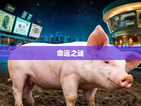 生肖猪宿命挣扎,揭秘猪年出生者皮肉之苦的打一生肖之谜 生肖猪宿命挣扎,揭秘猪年出生者皮肉之苦的打一生肖之谜