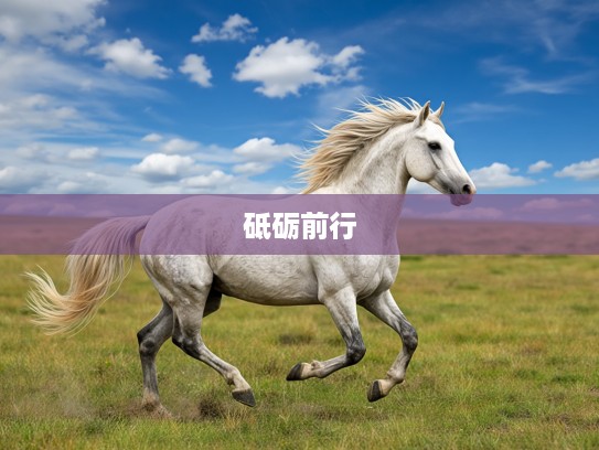 生肖马皮肉之苦见证砥砺前行，成长路上的最佳准确磨砺历程