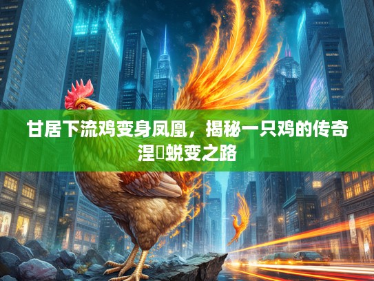 甘居下流鸡变身凤凰,揭秘一只鸡的传奇涅槃蜕变之路 甘居下流鸡变身凤凰,揭秘一只鸡的传奇涅槃蜕变之路