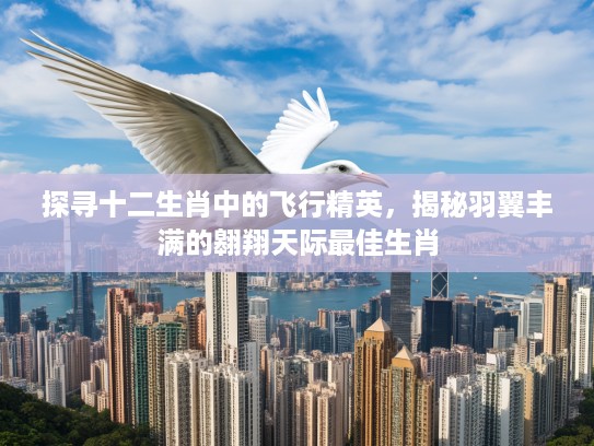 探寻十二生肖中的飞行精英,揭秘羽翼丰满的翱翔天际最佳生肖 探寻十二生肖中的飞行精英,揭秘羽翼丰满的翱翔天际最佳生肖