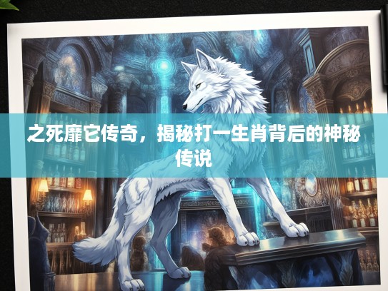 之死靡它传奇，揭秘打一生肖背后的神秘传说