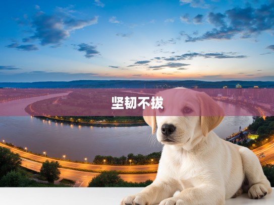 生肖狗特辑，成语不到黄河心不死，不见棺材不掉泪解读其坚韧不拔精神