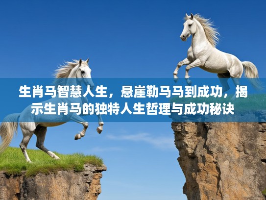 生肖马智慧人生，悬崖勒马马到成功，揭示生肖马的独特人生哲理与成功秘诀