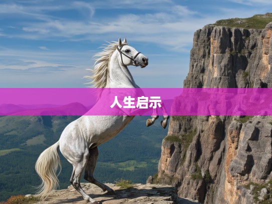 生肖马智慧抉择，悬崖勒马指的生肖寓意与人生启示揭秘