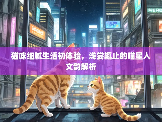 猫咪细腻生活初体验，浅尝辄止的喵星人文韵解析