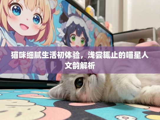 猫咪细腻生活初体验，浅尝辄止的喵星人文韵解析