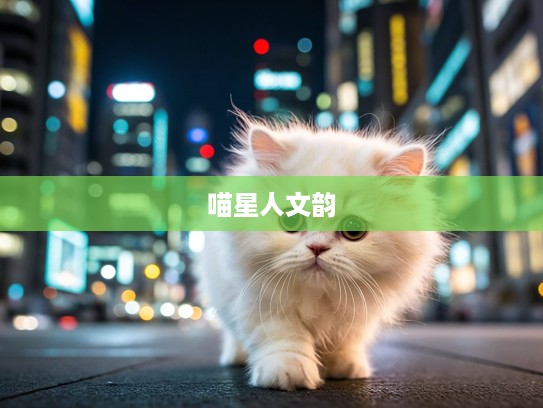 猫咪细腻生活初体验，浅尝辄止的喵星人文韵解析