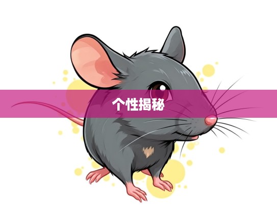 生肖性格揭秘，浅尝辄止揭示生肖鼠的独特个性表现