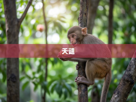 猴子偷桃引子孙灾，适可而止避天谴，探究打一生肖猴之传奇故事