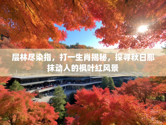 层林尽染指，打一生肖揭秘，探寻秋日那抹动人的枫叶红风景