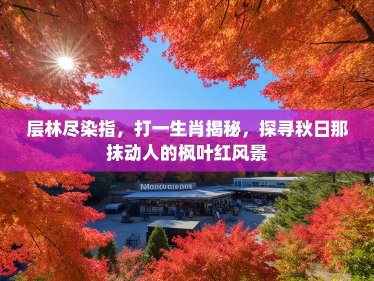 层林尽染指，打一生肖揭秘，探寻秋日那抹动人的枫叶红风景