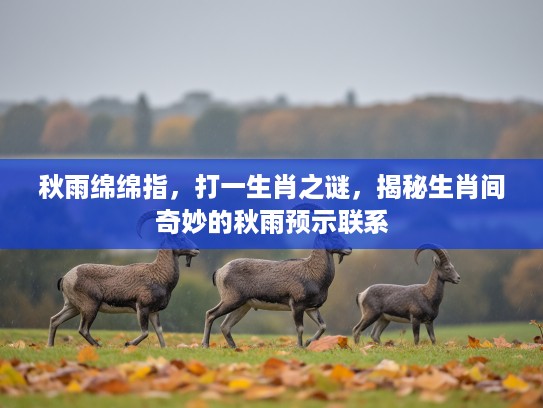 秋雨绵绵指，打一生肖之谜，揭秘生肖间奇妙的秋雨预示联系