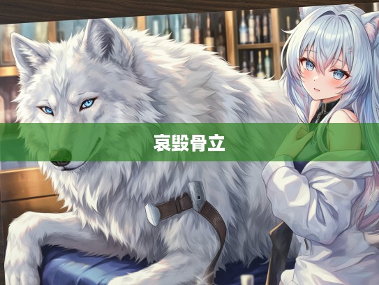 哀毁骨立，追寻打一生肖悲情传奇背后的故事与人生