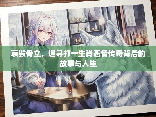 哀毁骨立，追寻打一生肖悲情传奇背后的故事与人生