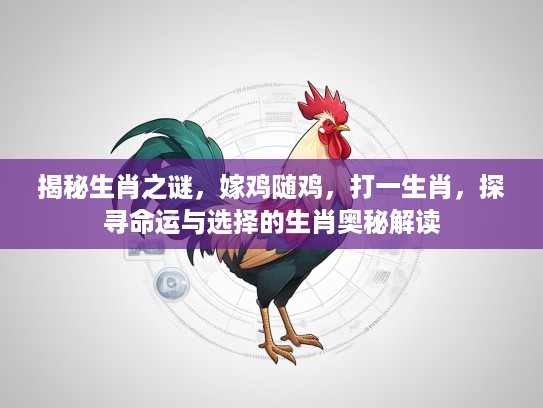 揭秘生肖之谜，嫁鸡随鸡，打一生肖，探寻命运与选择的生肖奥秘解读
